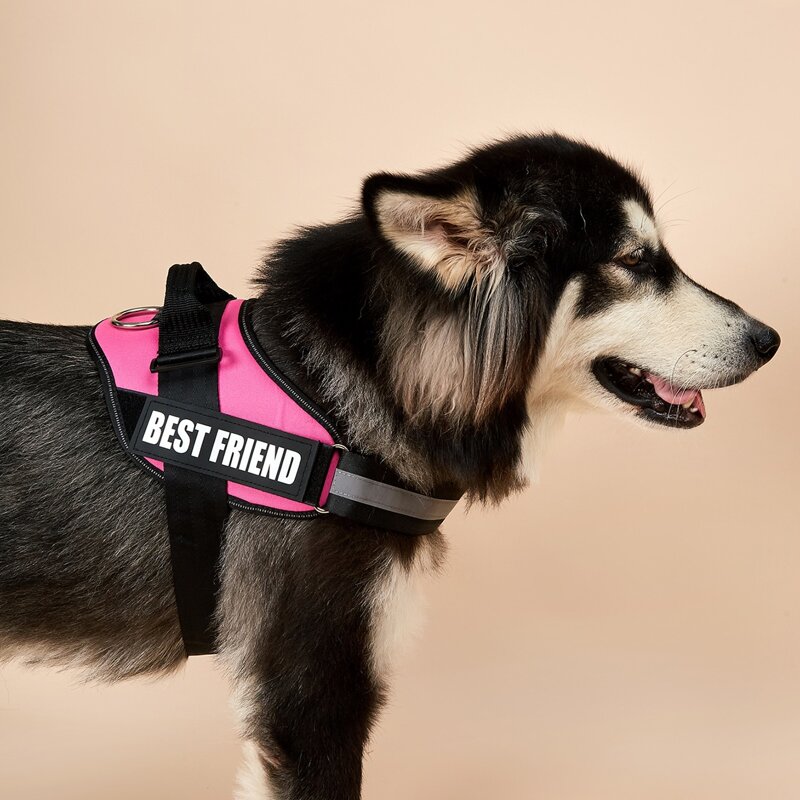 

1pc Letter Graphic Dog Harness, Pink