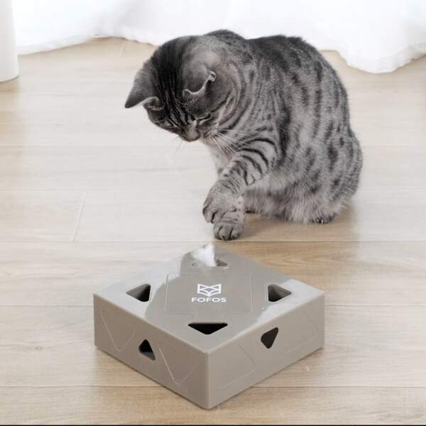 

1pc Electric Magic Box Cat Toy, Brown