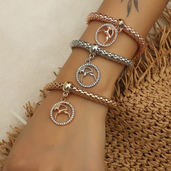 

3pcs Capricorn Charm Bracelet, Multicolor