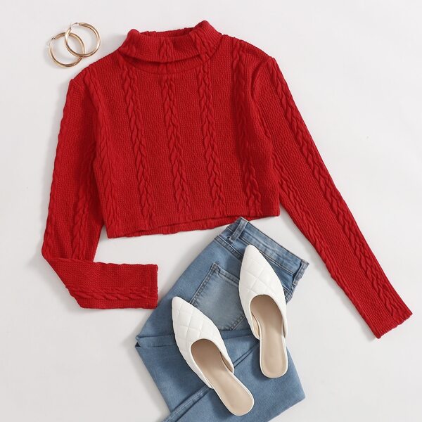 

Turtleneck Cable Knit Crop Tee, Red