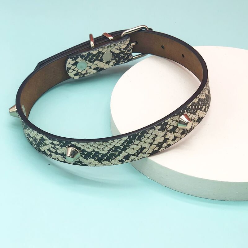 

Snakeskin Print Dog Collar, Multicolor
