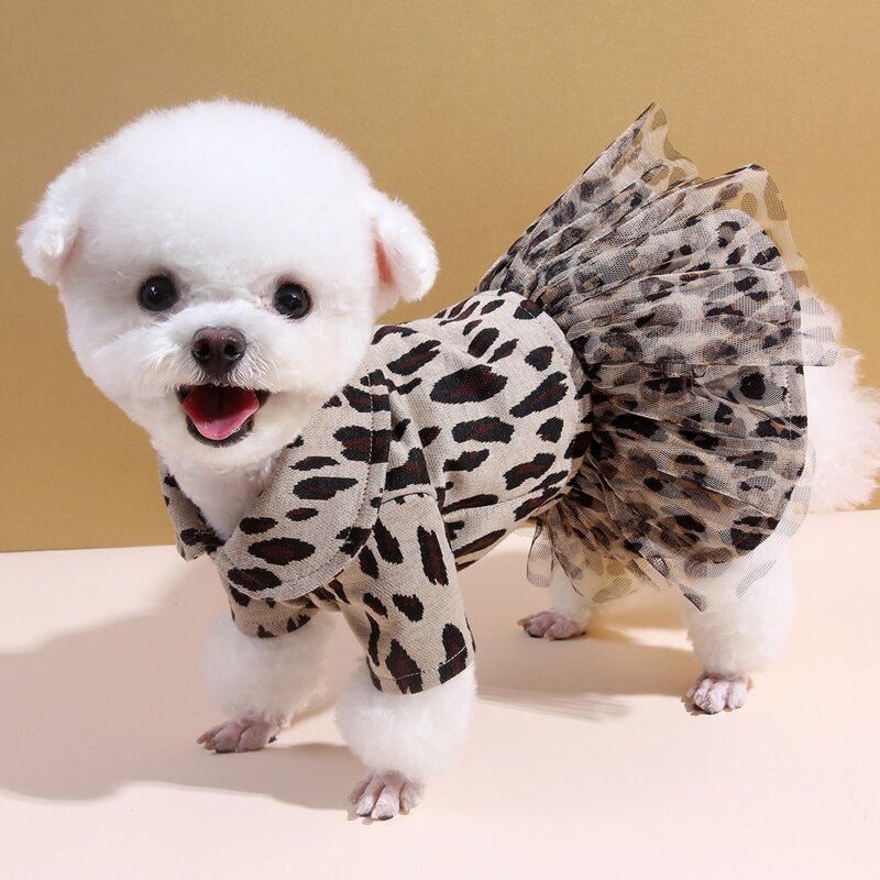 

Contrast Mesh Leopard Dog Dress, Multicolor