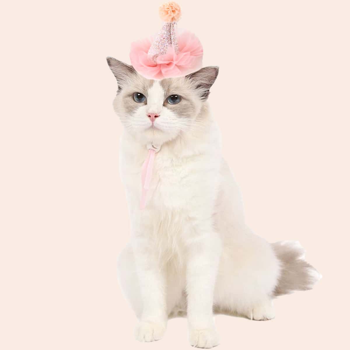 

1pc Cat Sequin Cone Hat, Pink