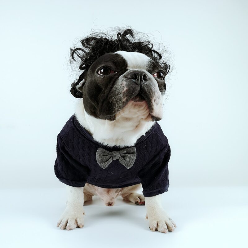 

1pc Dog Bow Decor Sweater, Navy blue