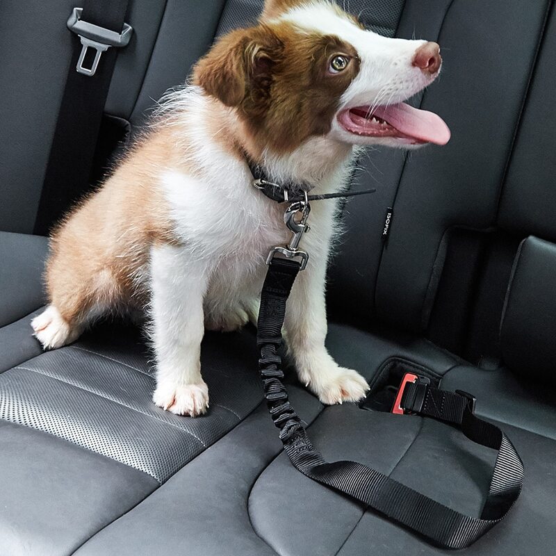 

1pc Dog Car Seat Belt, Black