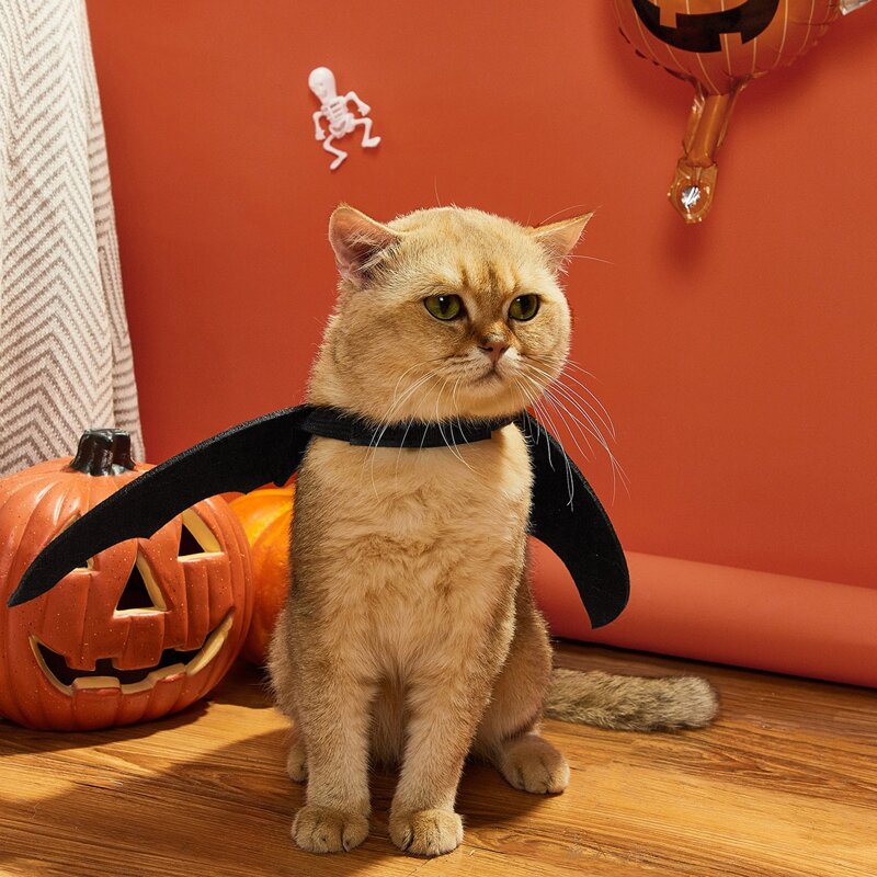 

1pc Halloween Bat Cat Costume, Black