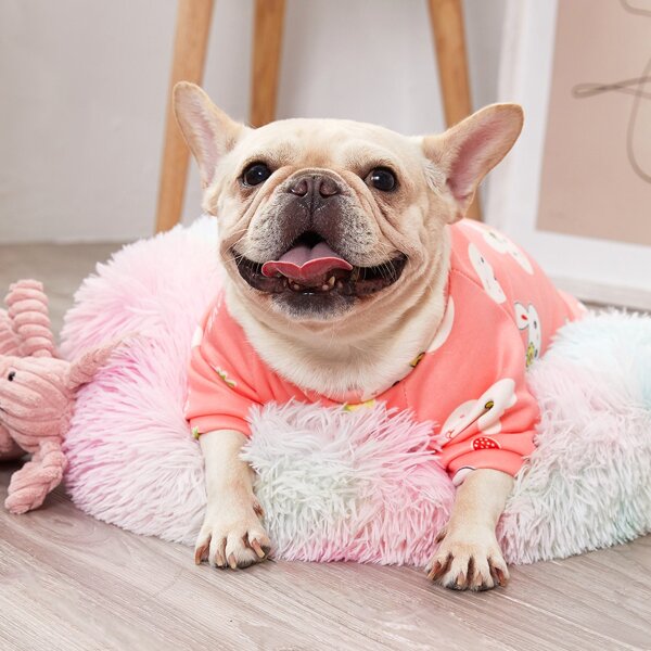 

1pc Rabbit & Fruit Print Dog Sweatshirt, Pink