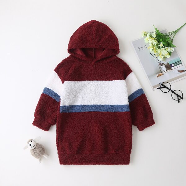 

Toddler Girls Colorblock Teddy Sweatshirt Dress, Multicolor