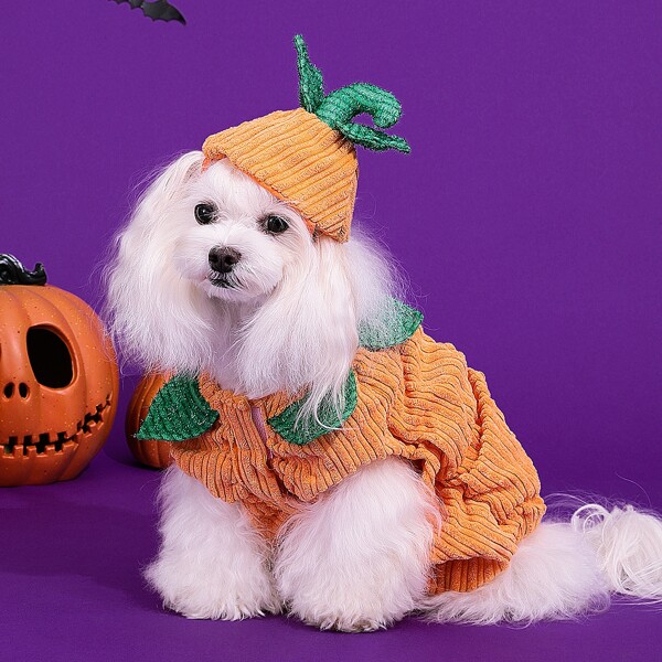 

Halloween Pumpkin Design Dog Costume, Orange