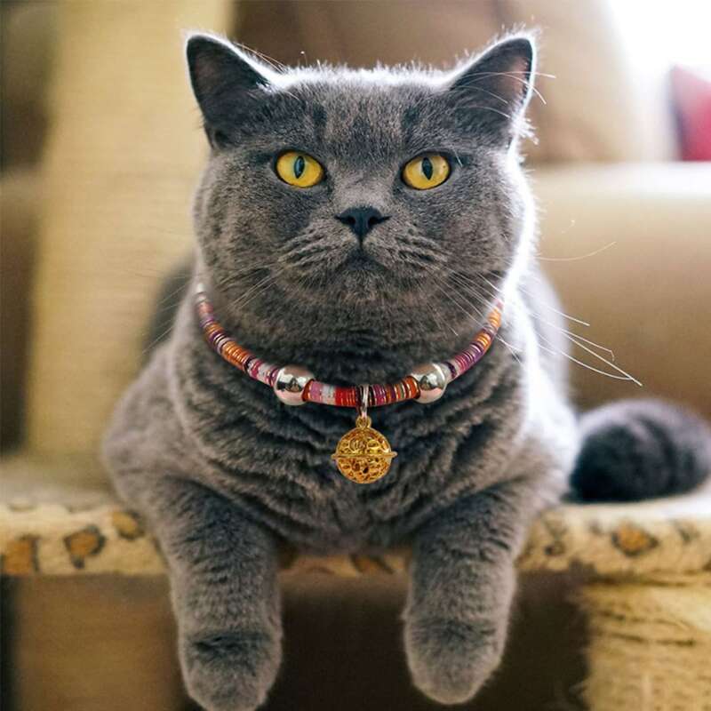 

1pc Japanese Style Cat Collar, Multicolor