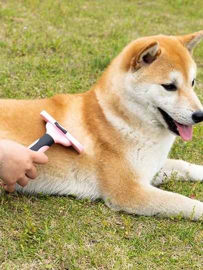 1 pieza cepillo de remover pelo de perro - Suministros para mascotas
