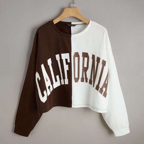 

Letter Graphic Colorblock Drop Shoulder Sweatshirt, Multicolor