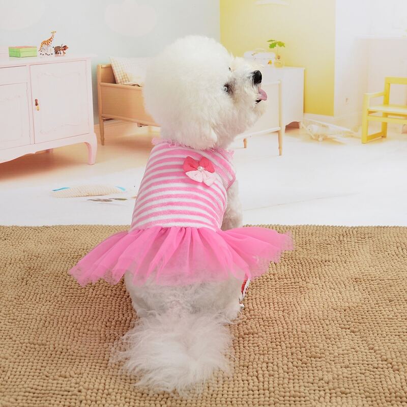 

Contrast Mesh Striped Dog Dress, Pink