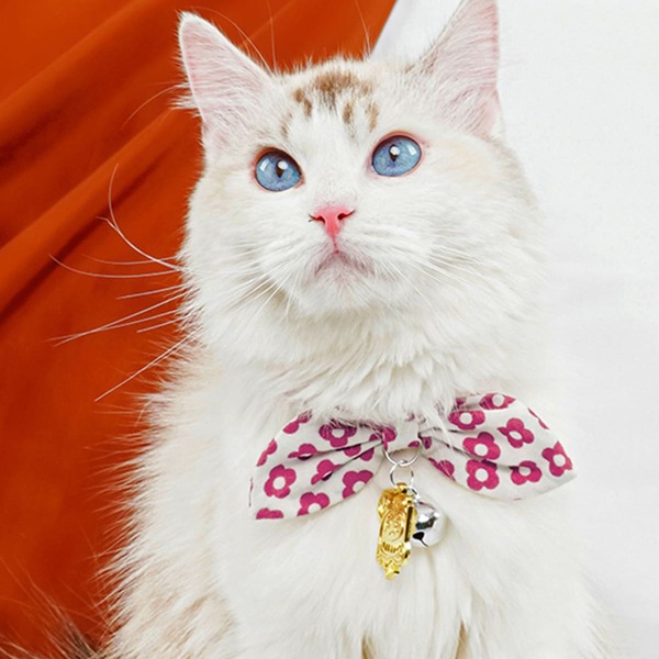 

Bell Decor Cat Necklace, Multicolor