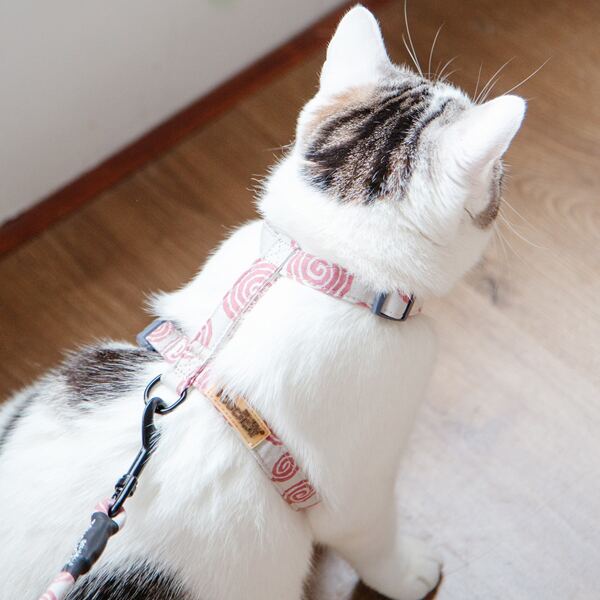 

1pc Graphic Cat Harness & 1pc Cat Leash, Multicolor