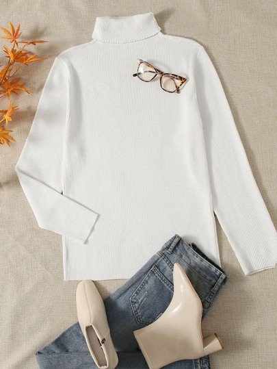 Plus Rolled Neck Solid Fitted Sweater