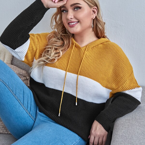 

Plus Color Block Drawstring Hooded Sweater, Multicolor