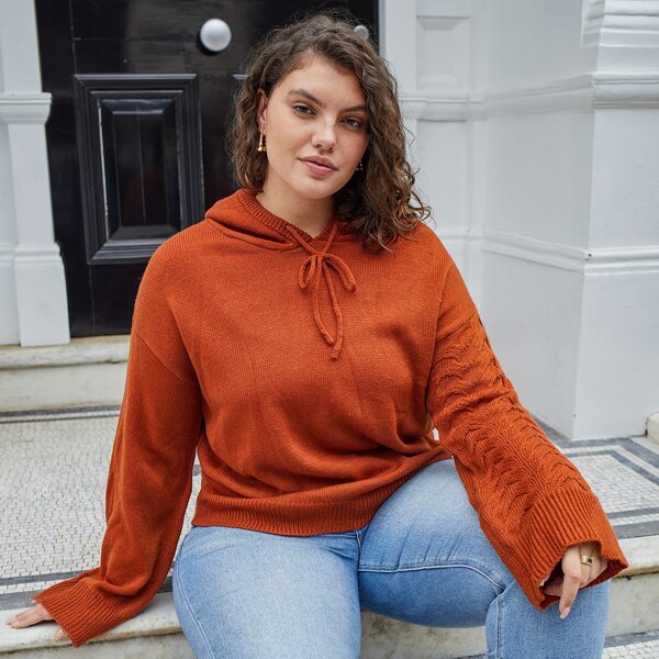 

Plus Drop Shoulder Textured knit Sleeve Hooded Sweater, Burnt orange