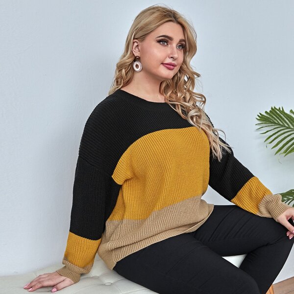 

Plus Round Neck Color Block Sweater, Multicolor