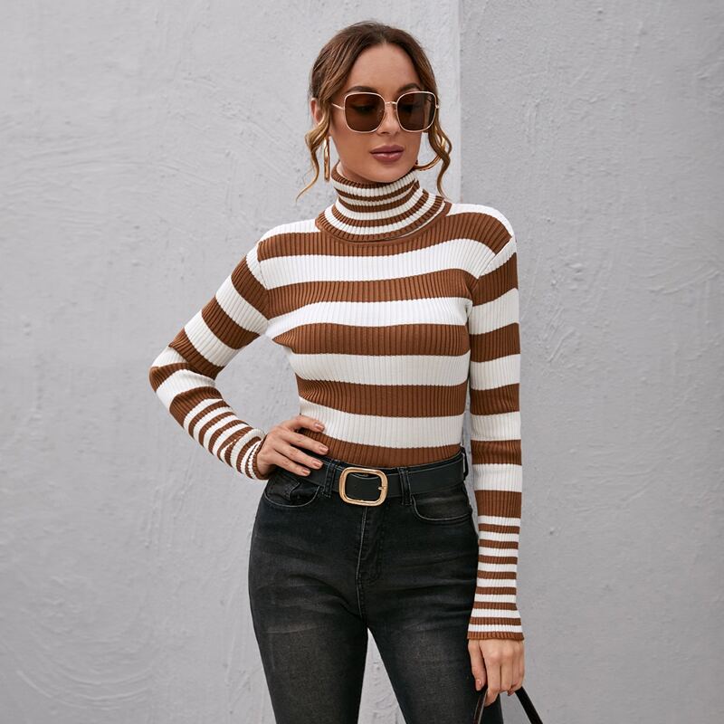 

Turtle Neck Colorblock Sweater, Multicolor