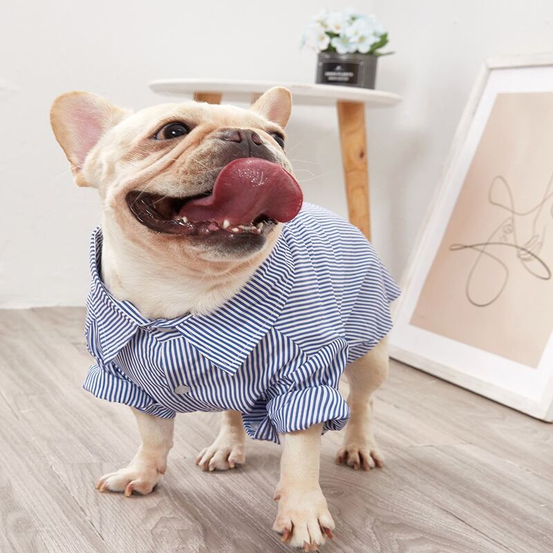 

1pc Dog Stripe Shirt, Blue