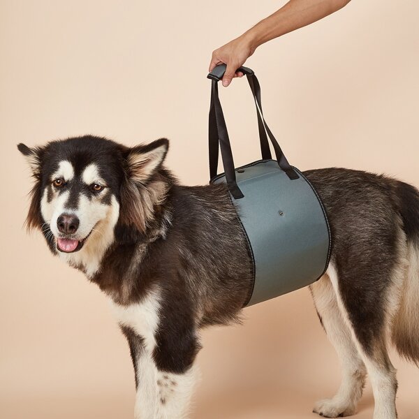 

Portable Dog Auxiliary Belt, Grey