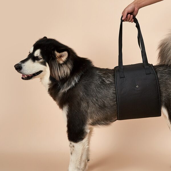 

Portable Dog Auxiliary Belt, Black