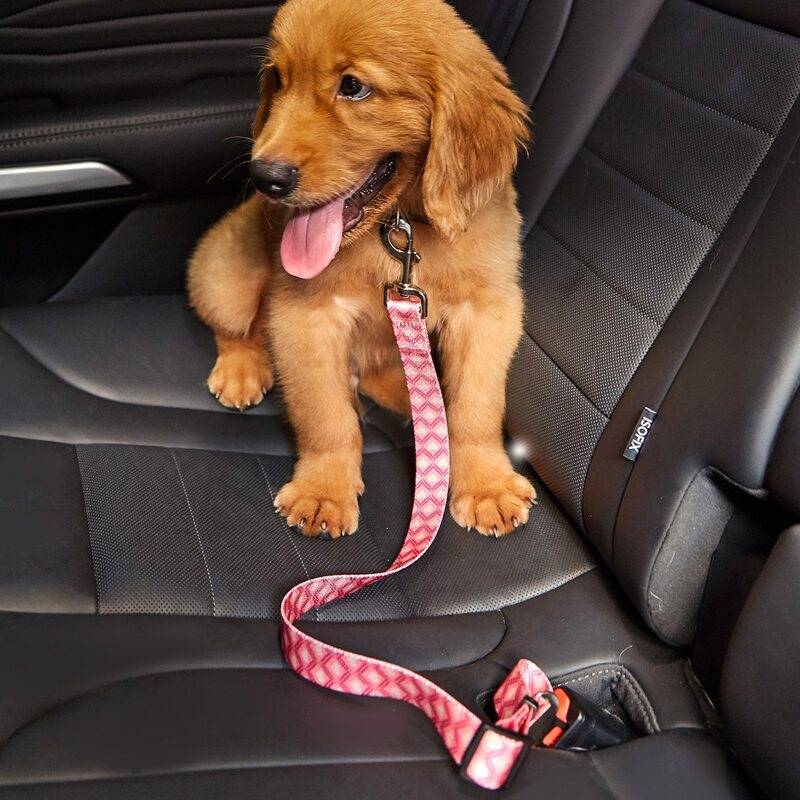

Heart Print Dog Car Seat Belt, Multicolor