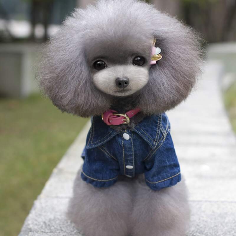 

1pc Dog Denim Coat, Blue