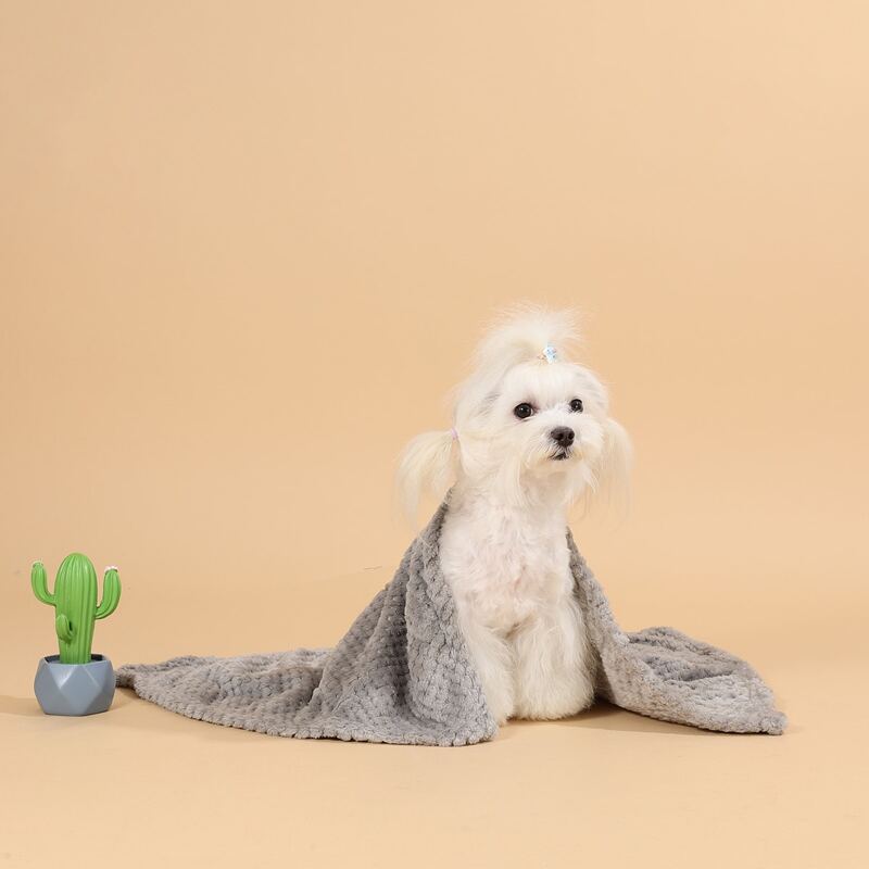 

Solid Dog Blanket, Grey