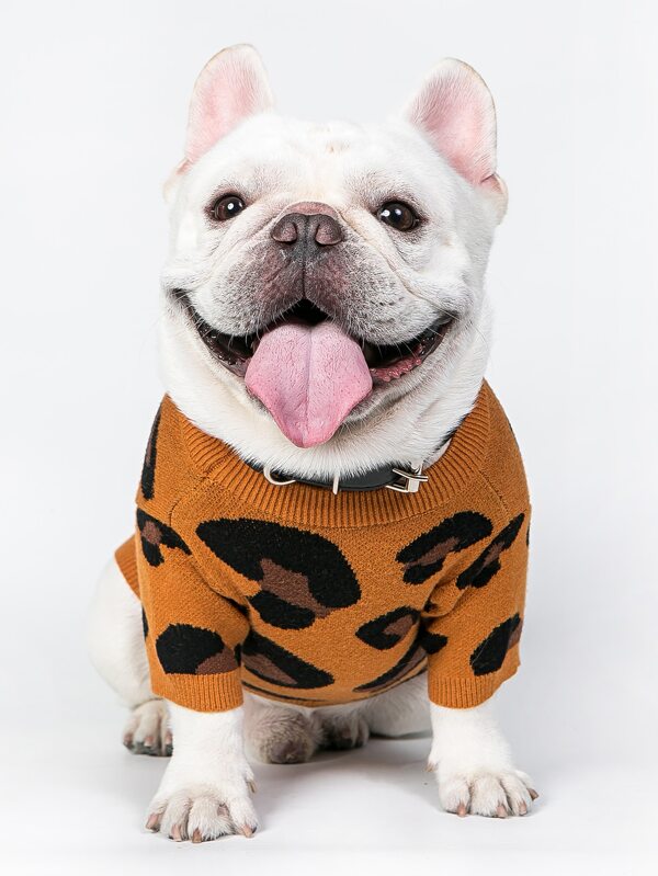 leopard dog sweater