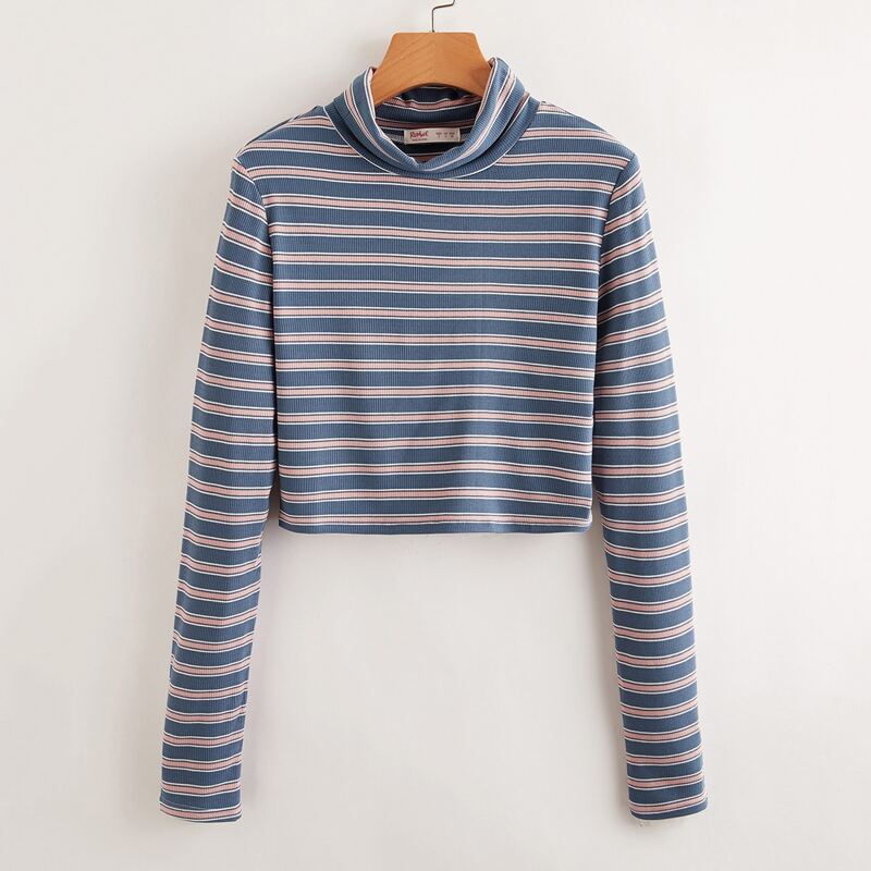 

Striped High Neck Crop Tee, Multicolor