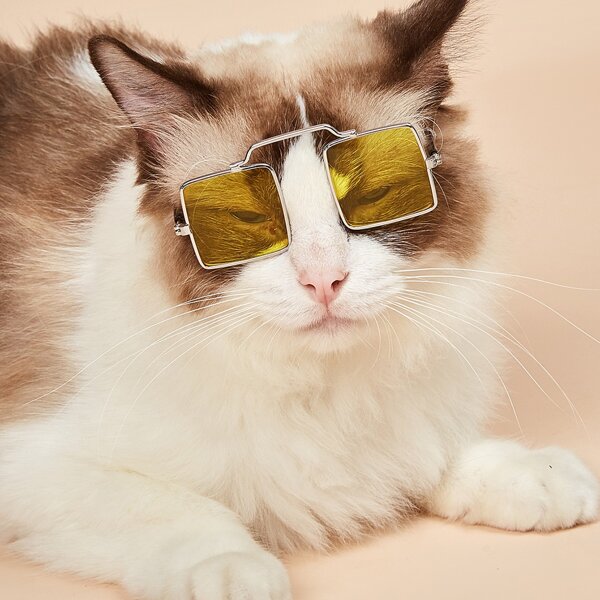 

Square Lens Cat Sunglasses, Yellow