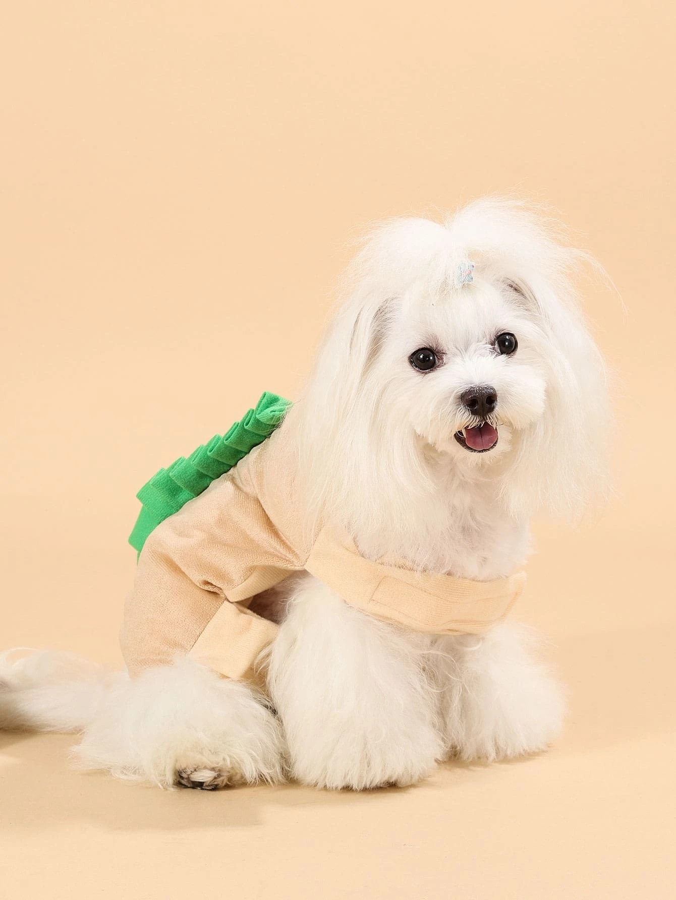 hot dog dog costumes
