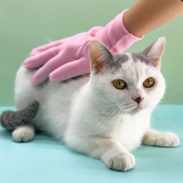 

1pc Cat Hair Remove Glove, Pink