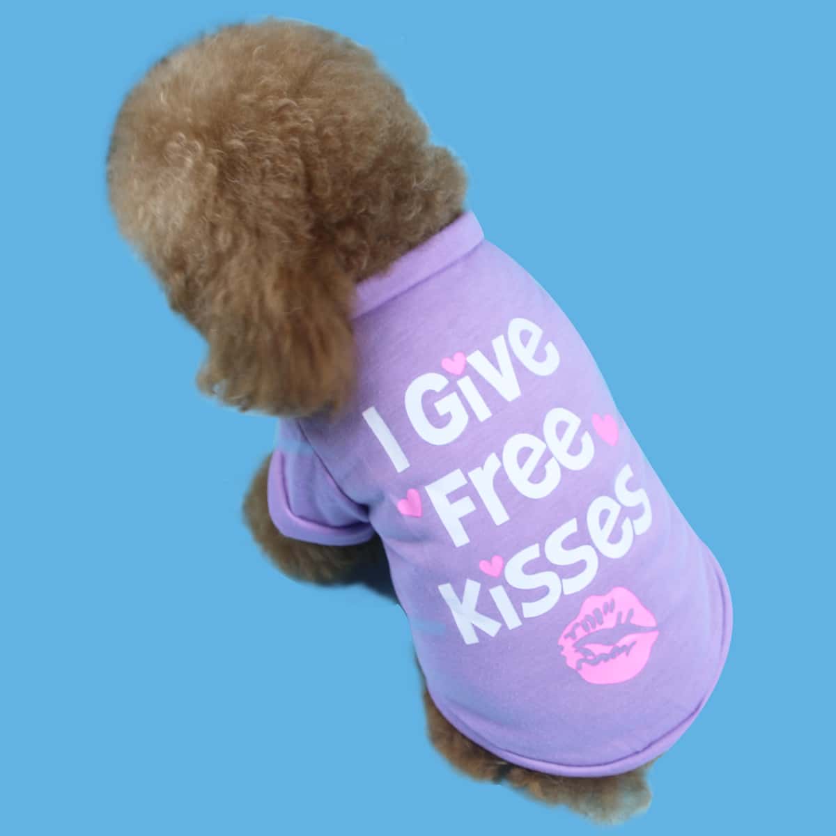 

Letter Graphic Dog Sweatshirt, Purple