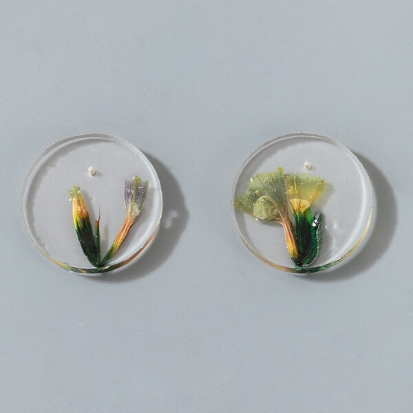

Clear Round Stud Earrings, Multicolor