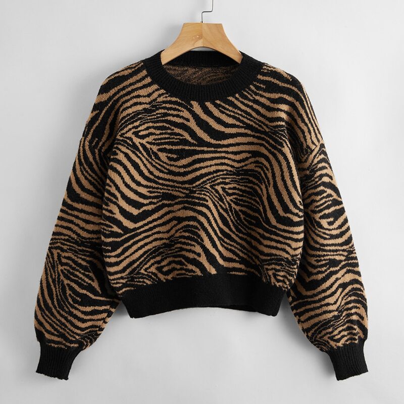

Tiger Stripe Pattern Sweater, Multicolor