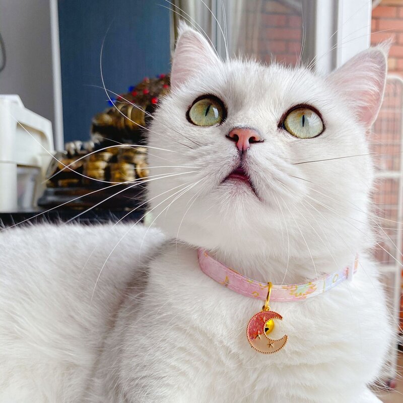 

Star Print Cat Necklace, Pink