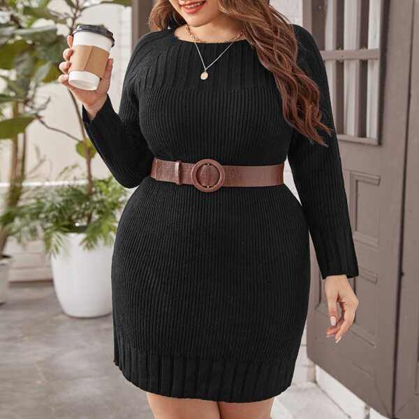 

Plus Raglan Sleeve Sweater Dress Without Belt, Black