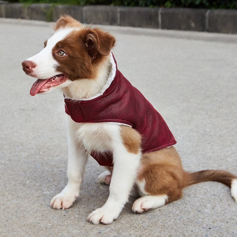 

Solid Dog Coat, Red