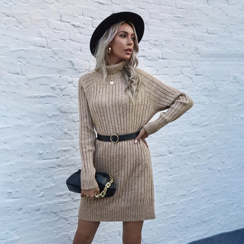 

High Neck Raglan Sleeve Knit Dress Without Belt, Khaki