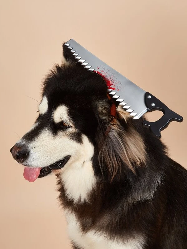 dog headband