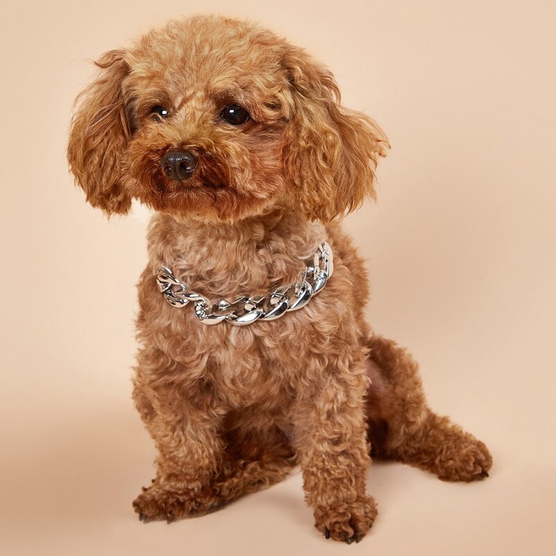 

1pc Dog Chain Collar, Silver