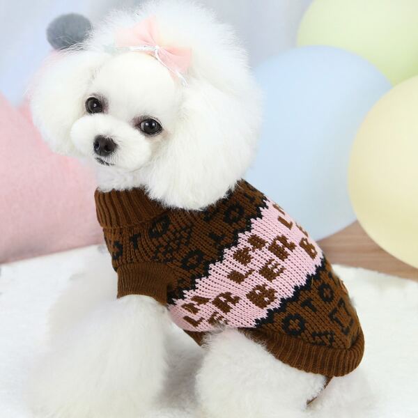 

Letter Graphic Dog Sweater, Multicolor