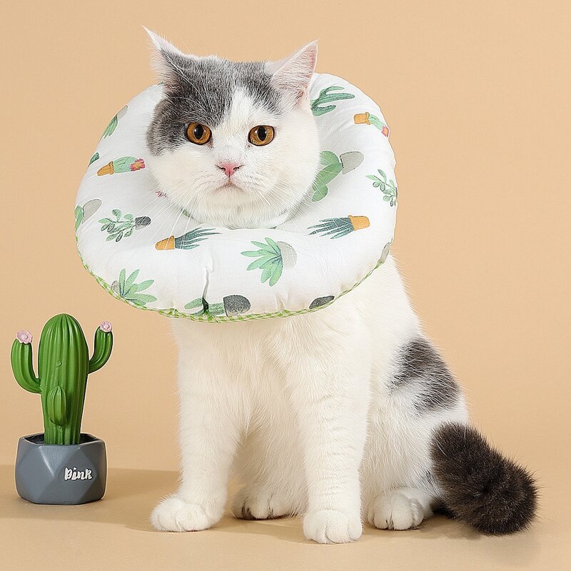 

Cactus Print Cat Elizabeth Collar, Green