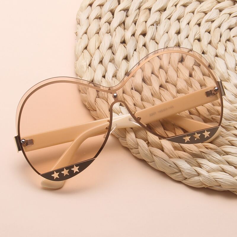 

Tinted Lens Sunglasses
