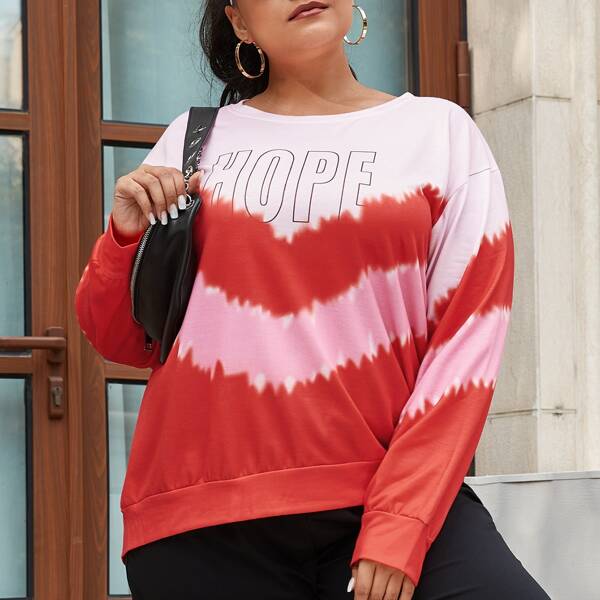 

Plus Colorblock And Letter Graphic Drop Shoulder Sweatshirt, Multicolor