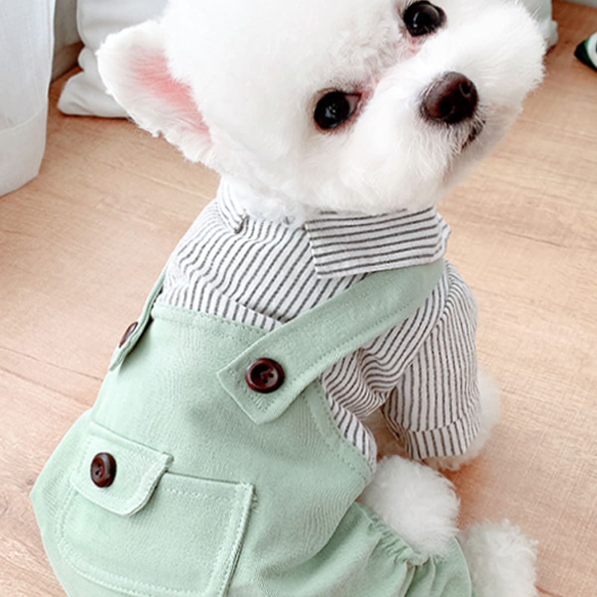 

Striped Dog Jumpsuit, Green