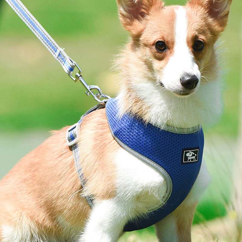 

1pc Reflective Dog Harness & 1pc Dog Leash, Blue